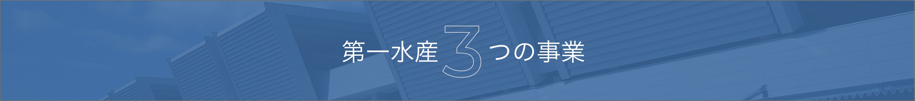 第一水産3つの事業