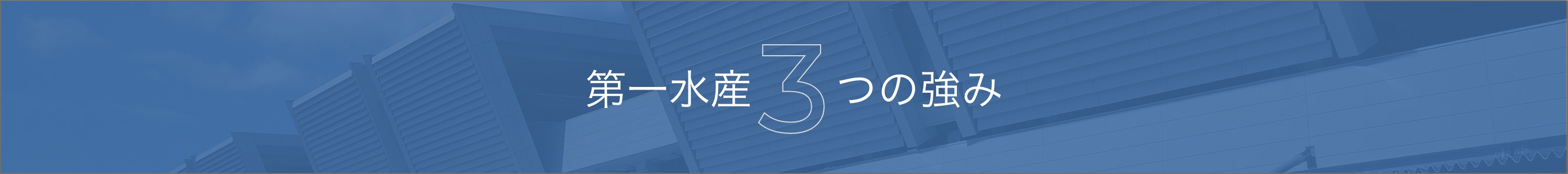 第一水産3つの事業